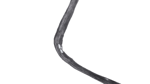 Уплотнитель двери для духовки Ariston, Indesit C00111687, 482000022818, 290*400 мм - 2